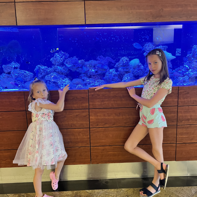 hotel aquarius